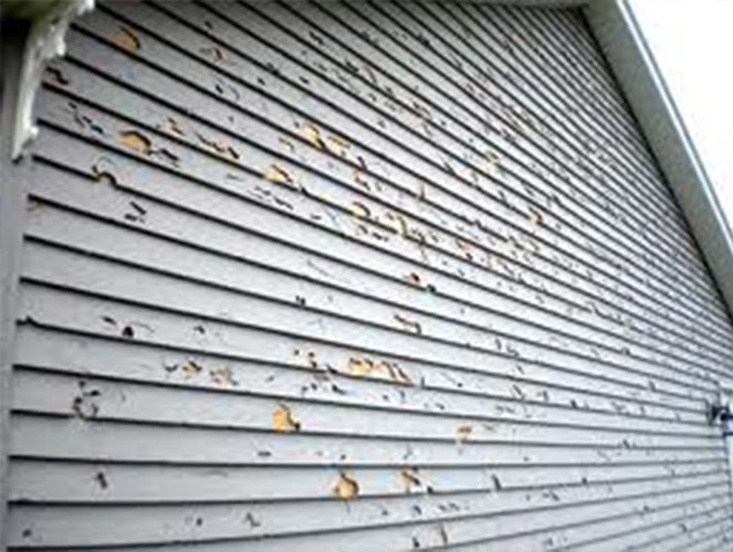 Siding style 6