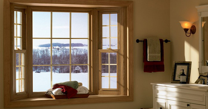 Window Brochure